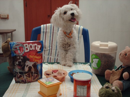 Aquí me cantan el cumpleaños felíz 